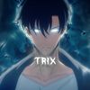 trix.amedit
