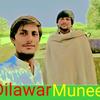 dilawar.muneer7