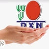 DXN1