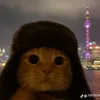 ghidorah445