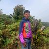 seiril.hasibuan
