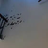 kiepnanxaynha