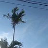 dhiyaa_30