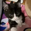 luindzs1thgioi