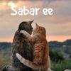 dafiq957