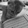 janisah5697