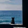 hobtran