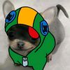 flud.po.bsstar2