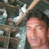 saiful.islam.01405
