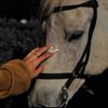 areej5976
