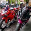 Owner CBR Pink