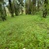 petanisawit095