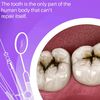 elephantdental001