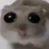 monkey_banana_banana