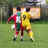 scandola_10