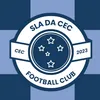 slacecfc11