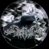 dh_nzzx