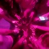 4lifers_foreveerrrr