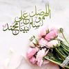 user8595462971246