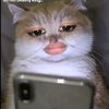 dyzz_3529