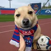 khabarovskijgenius