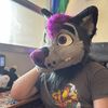 gray_possum