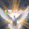 bostan_nour