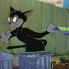 www.mhmaed