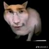 when_67386