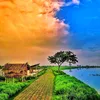 mdsujon501250