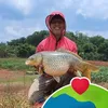caominhhieu494