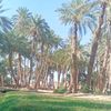 muhammad.7792