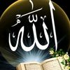 allah8823