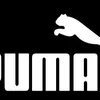 Puma Movement