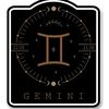 gemin869