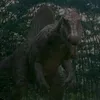 pedro.alonso708