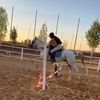 horses_forlif3