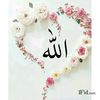 user17947845338481