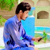 ziaur.rahman.azha804