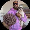 luckypaid5