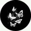 user5613723123220