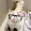 siffa_980