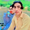 dcdawar04