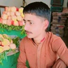 ali.raza51910