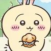jay_happydoggie02