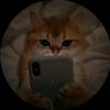 scarytom_43