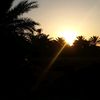 hosam.ghonim