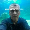 adnanhy08