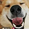 vegana.por.amorr