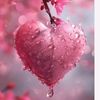meral27_1903
